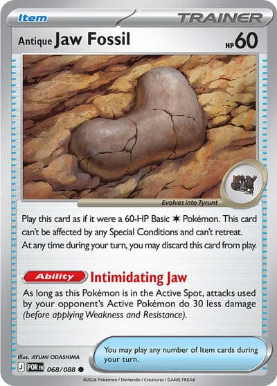 Antique Jaw Fossil (Perfect Order)